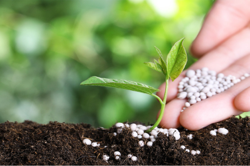 Fertilizers